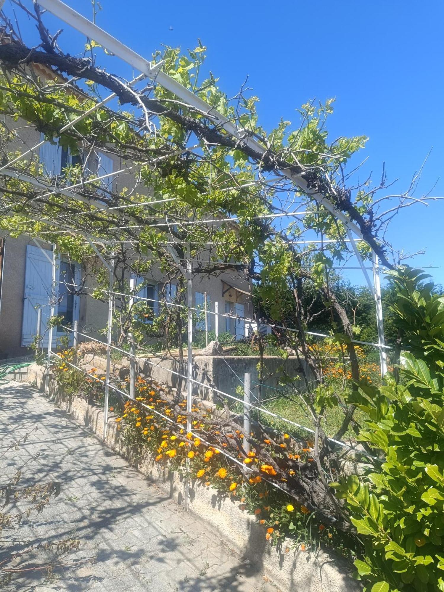 Hysope Διαμέρισμα Chateau-Arnoux-Saint-Auban Εξωτερικό φωτογραφία